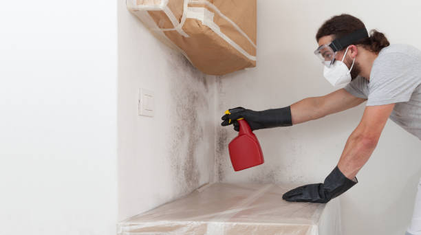 Professional Basement Mold Removal technician working in Mount Tabor, NJ
